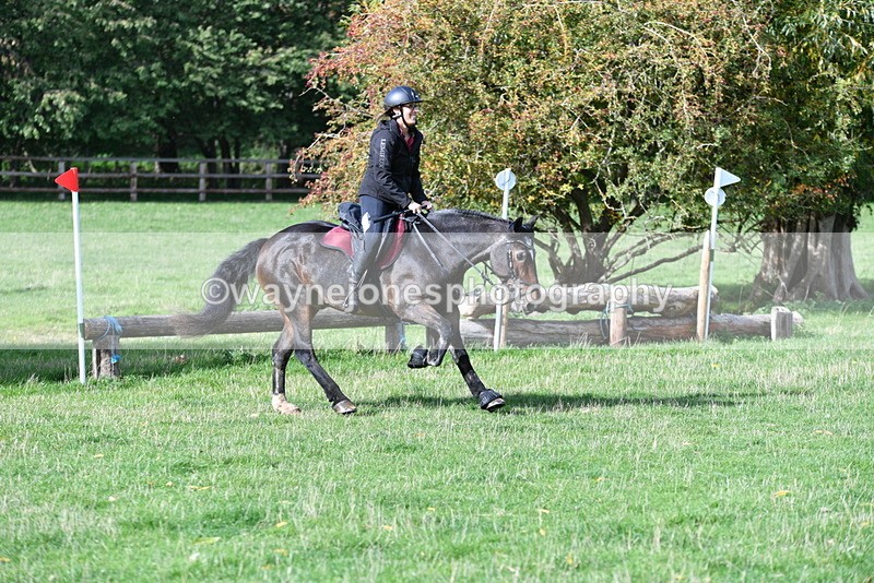 WJ5_7895 - Time 10:31 to 12:01