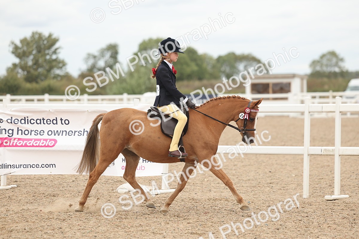 SBM_19112 - Class 316 - Best Pony-Rider Combination