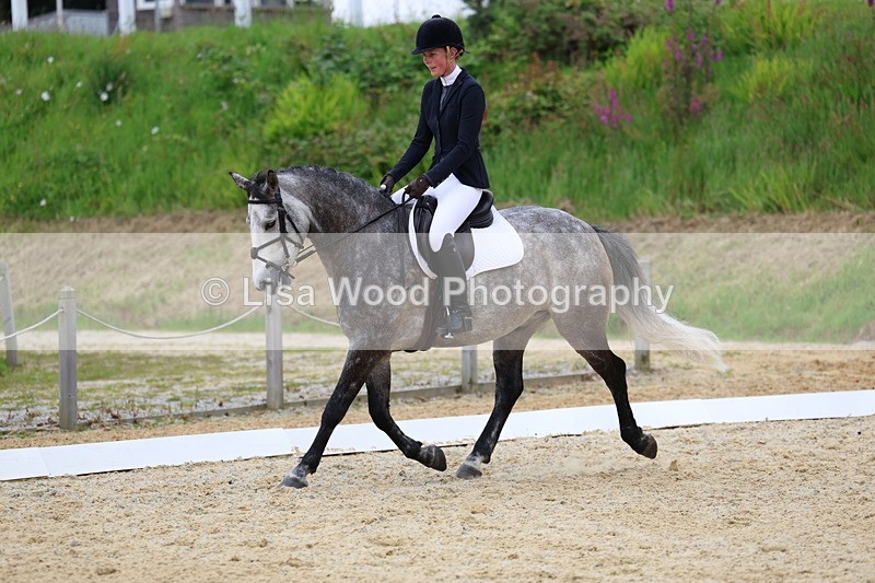 3E7A1709 - Class 2: Intro 2 2024 Section B