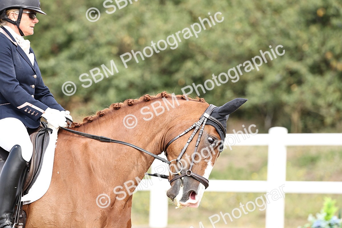 SBM_018227 - Class 16 - Novice 5 - 11.12-12.01