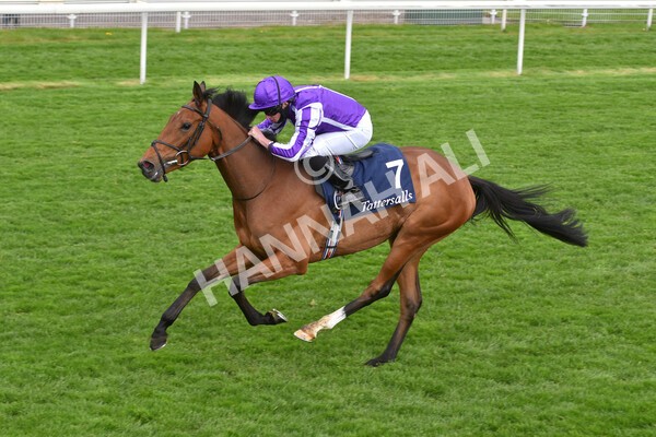 yr12052021r4-35 - Race 4 3.10pm Tattersalls Musidora Stakes