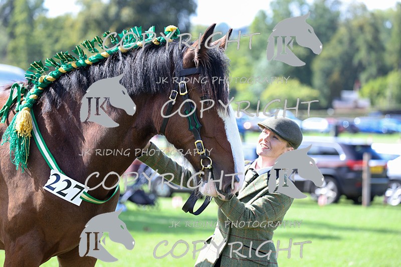 APP_3167 - Class 3 Youngstock