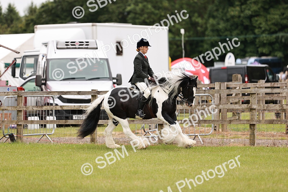 SBM_06174 - Class 39-41 TGCA In Hand and Ridden