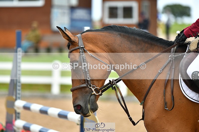 230812A-140021-09486 - Cls 28 95cm Nat Am Qualifier