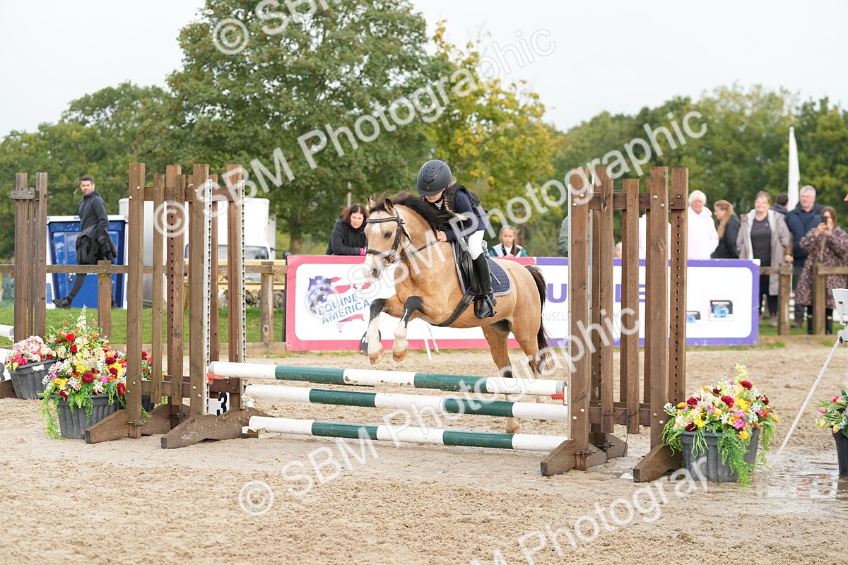 SBM_32340 - J5 - Junior Pony 50cm Championship