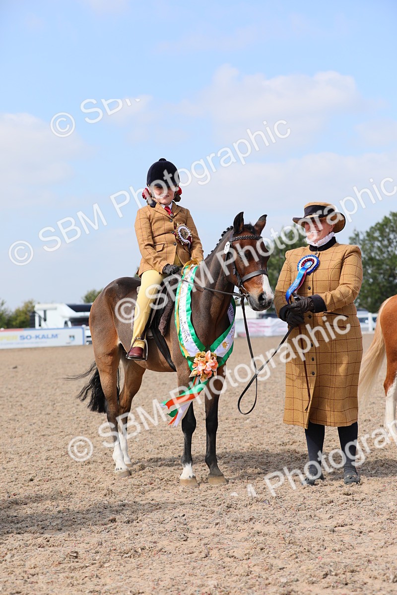 SBM_14098 - Class 309 Lead Rein Pony
