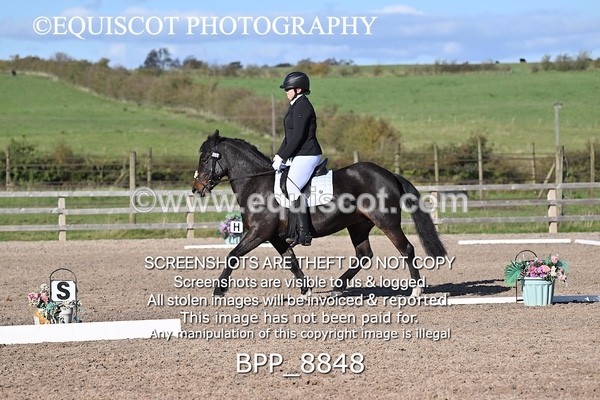 BPP_8848 - SHORT ARENA INTRO 2