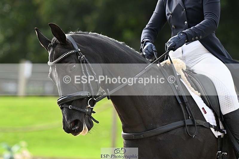 231019-142946-04195 - 053-WISHING.TIME-Holly.Law-DR