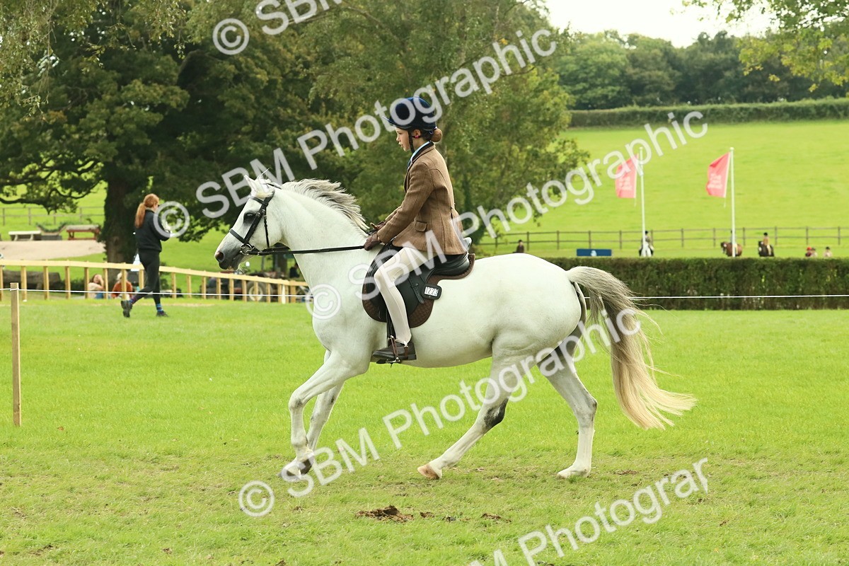 SBM_69923 - S59 - Mountain & Moorland Ridden Small Breeds