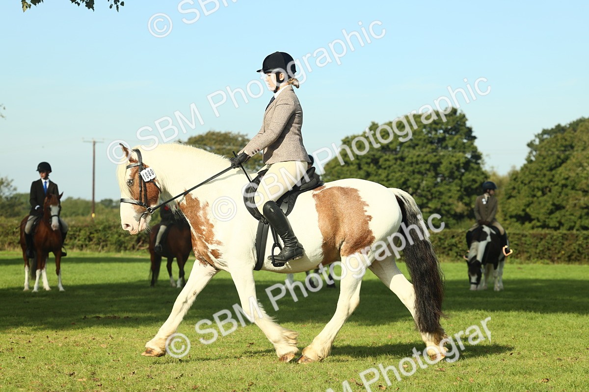 SBM_59904 - S38 - Starters Ridden Showing