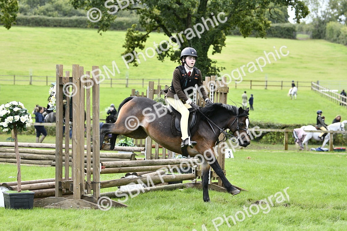 SBM_41268 - S32 - Mountain & Moorland Working Hunter Pony