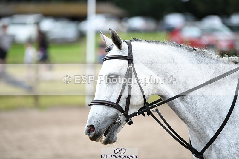 240825X-102843-30980 - 70cm SJ 9.15 to 10.21