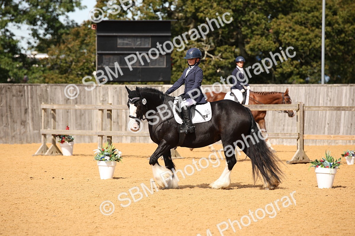 SBM_21727 - D5 - Small Tour Championship - Intro C