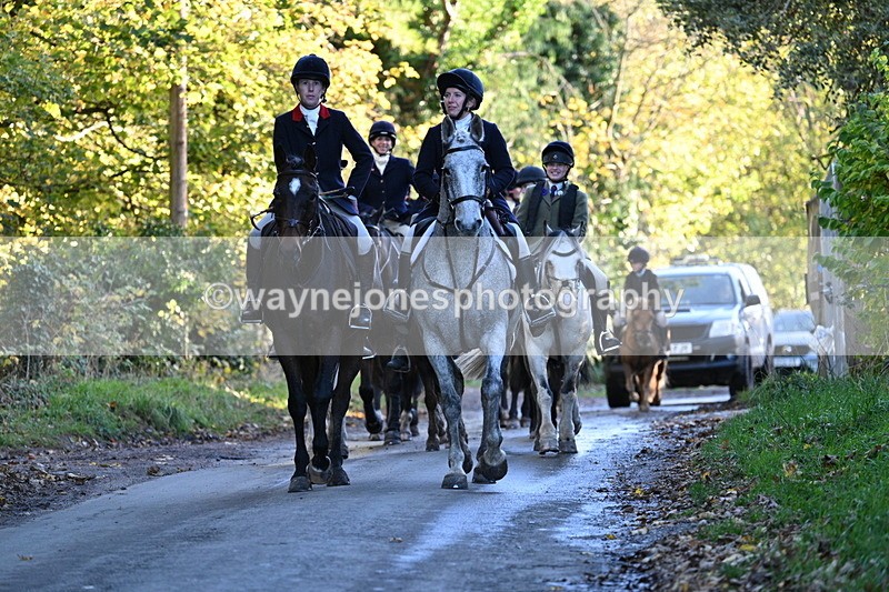 WJ7_8701 - Walk Home