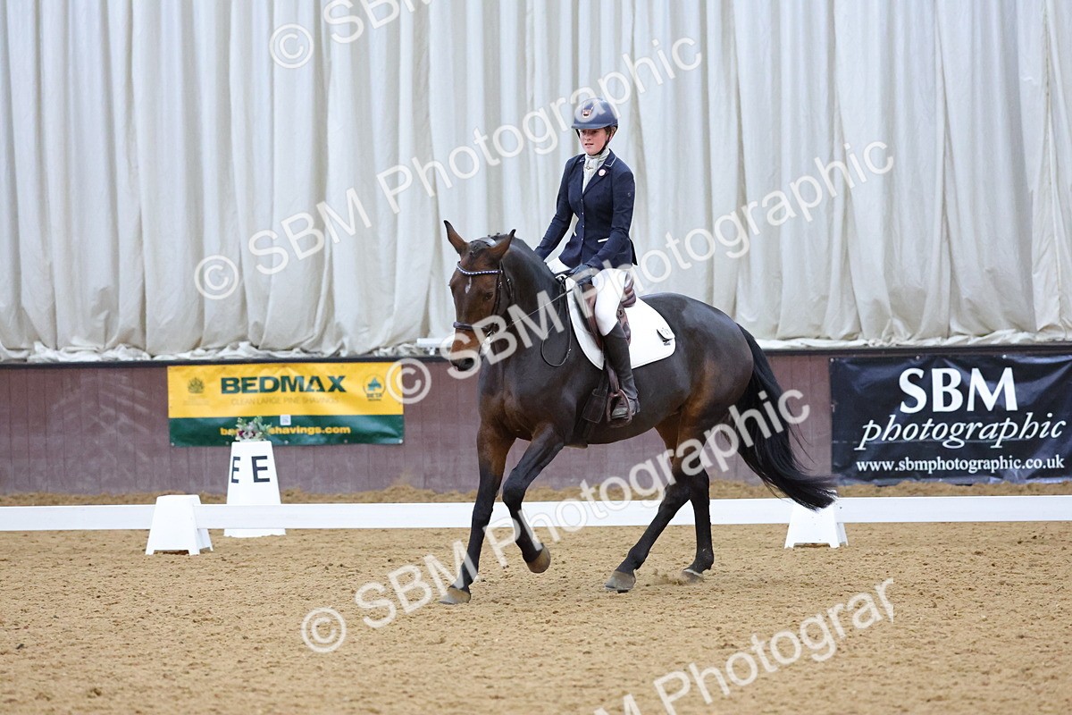 SBM_004228 - Intermediate
