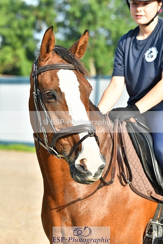 230817-083312-02411 - Stable Shots