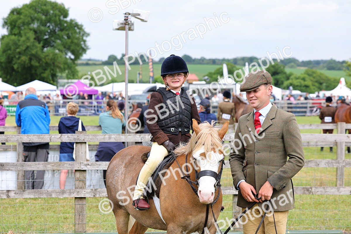 SBM_08298 - Class 42-43 - LIHS BSPS Heritage Working Sports Pony
