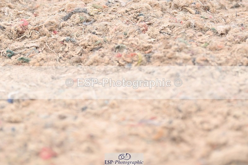 ESP_1313 - Cls 51 BD Elementary 53