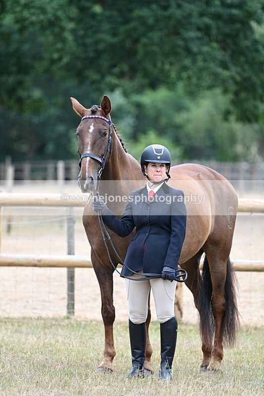 WJ7_9831 - Class 5a Most Handsome Gelding (above 14.2hh)