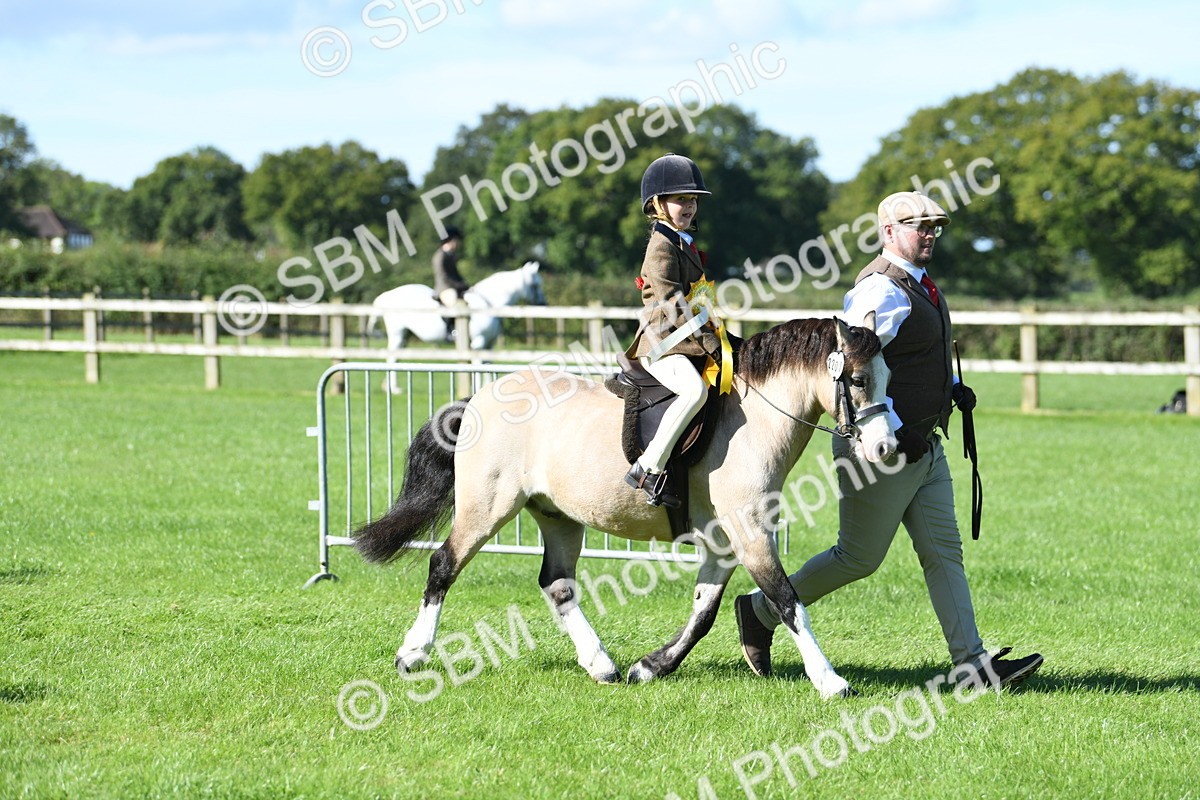 SBM_37108 - S18 - Novice & Newcomers Lead Rein Pony