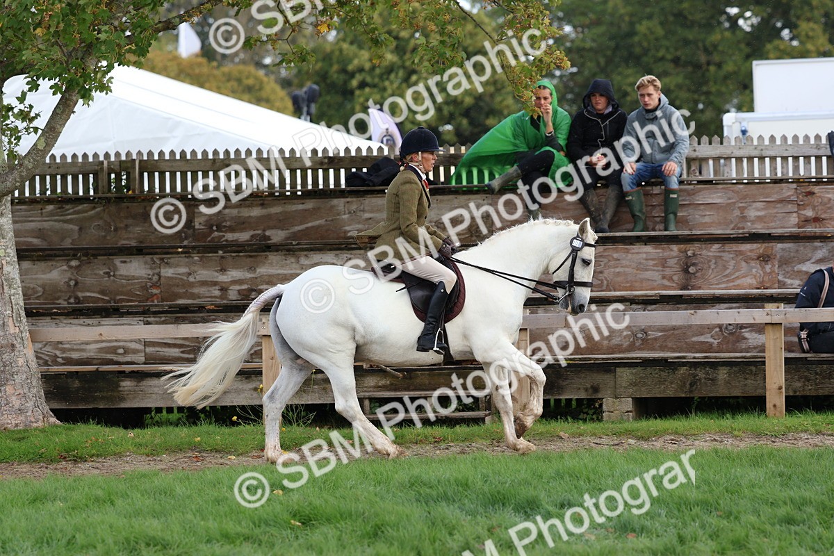 SBM_47658 - S28 - Veteran Ridden