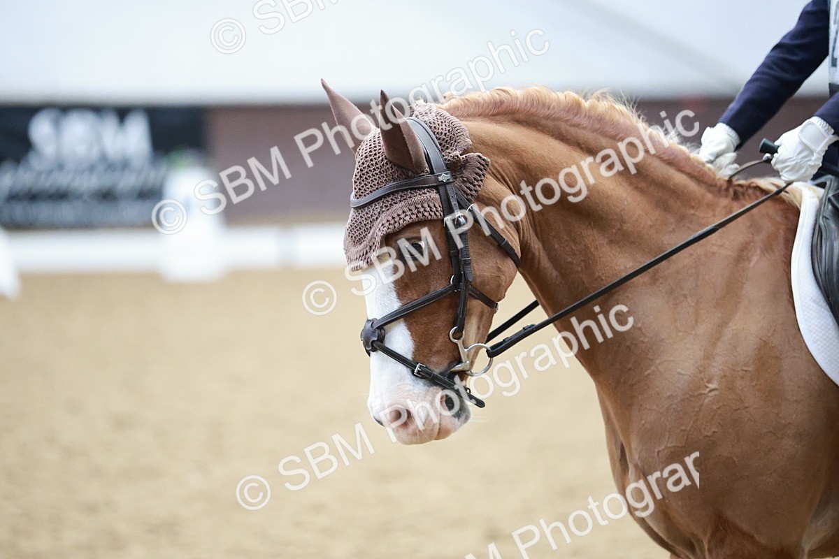 SBM_003968 - Class 2 - Novice 2020