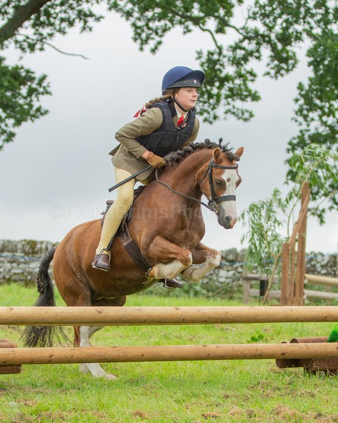 Dunblane show-20 - Dunblane and Doune Show Ring 1