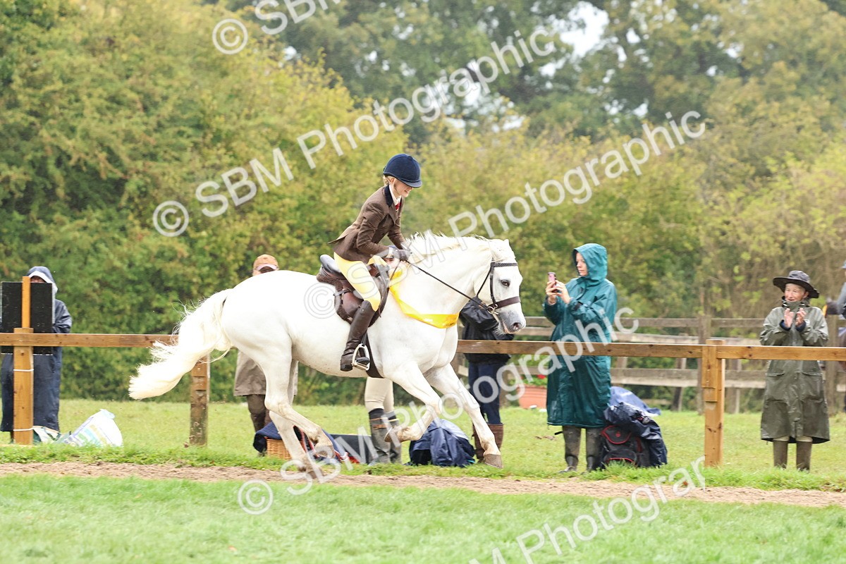 SBM_69767 - S62 - Mountain & Moorland Ridden Large Breeds