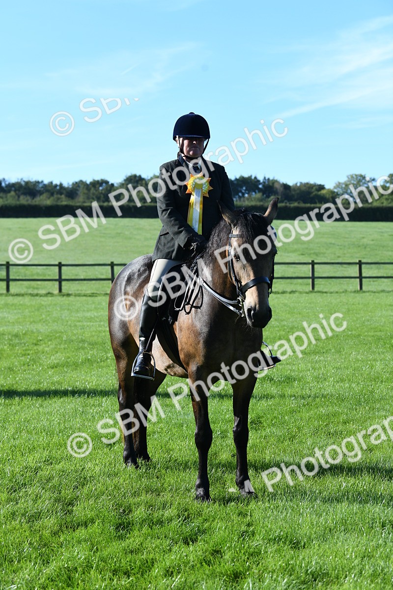 SBM_34121 - S16 - Condition & Turnout - Ridden