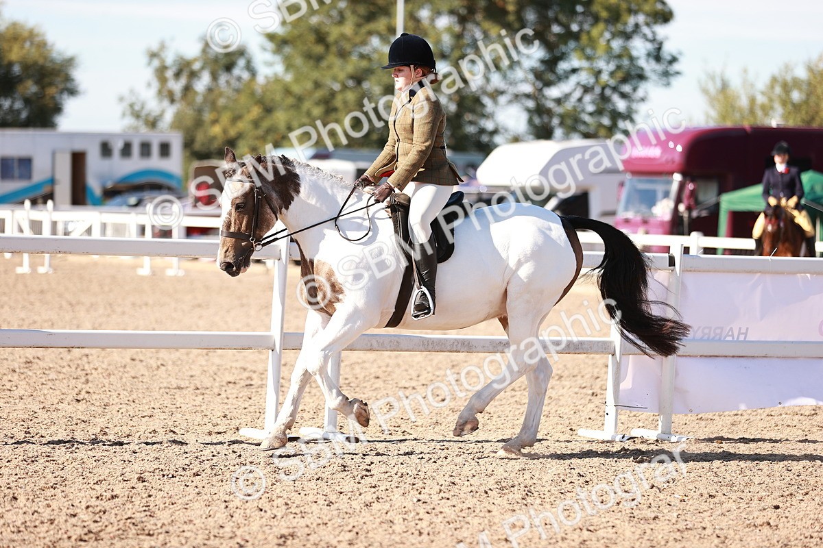 SBM_12484 - Class 403 - Grassroots Ridden - Junior