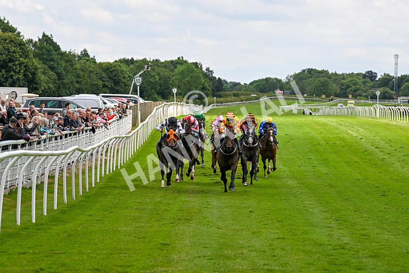 180624-Race 3-High Opinion-0277 - Race 3