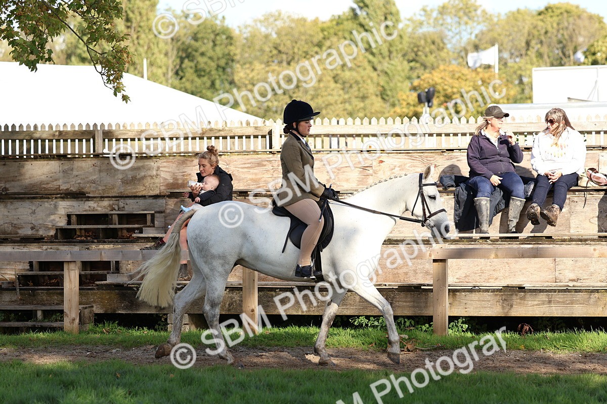 SBM_52334 - S13 - Pony Club Pony