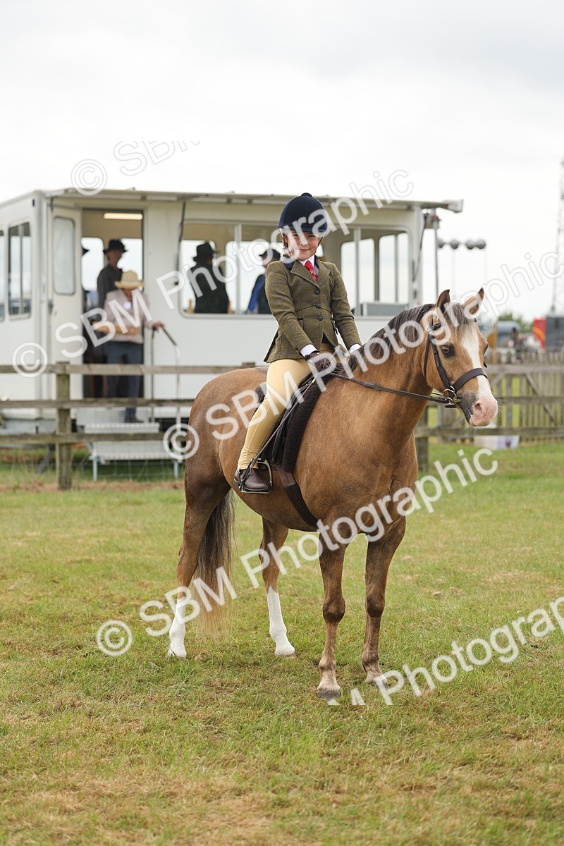 SBM_06891 - Class 74-75 - M&M Lead Rein and First Ridden Pony