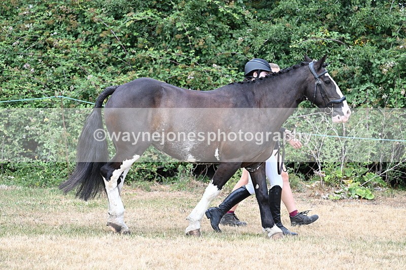 WJ7_1829 - Class 4a Prettiest Mare 14.2hh and over hand