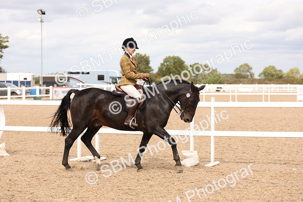 SBM_16542 - Class 212 - Ridden Hunter - Small