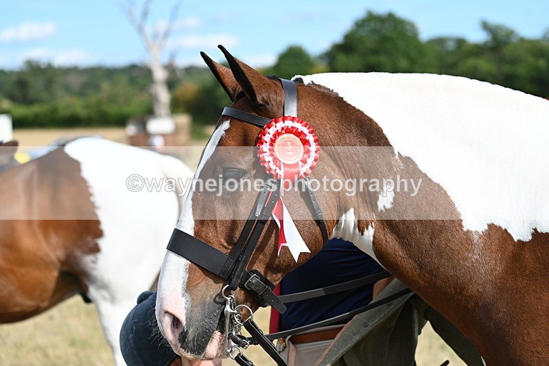 WJ7_7920 - George ...