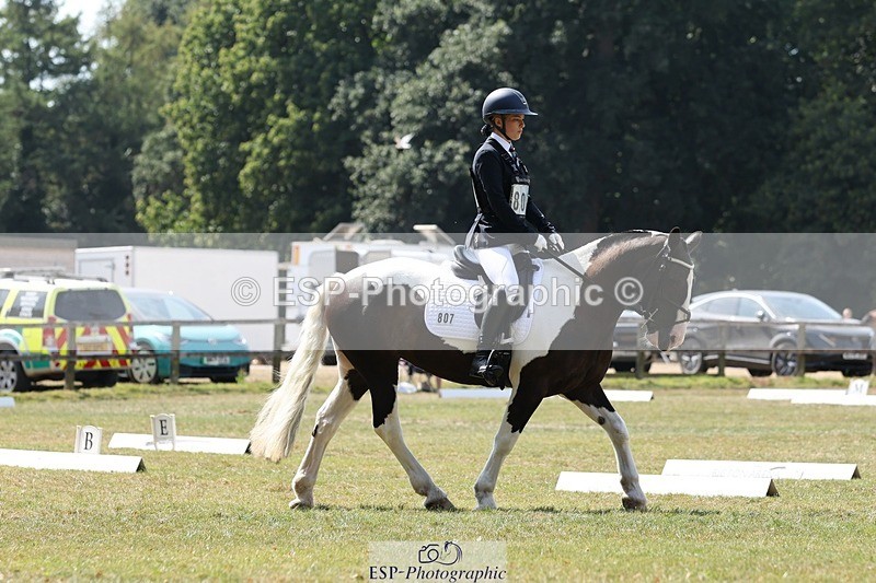 250823A-131305-31491 - Arena C