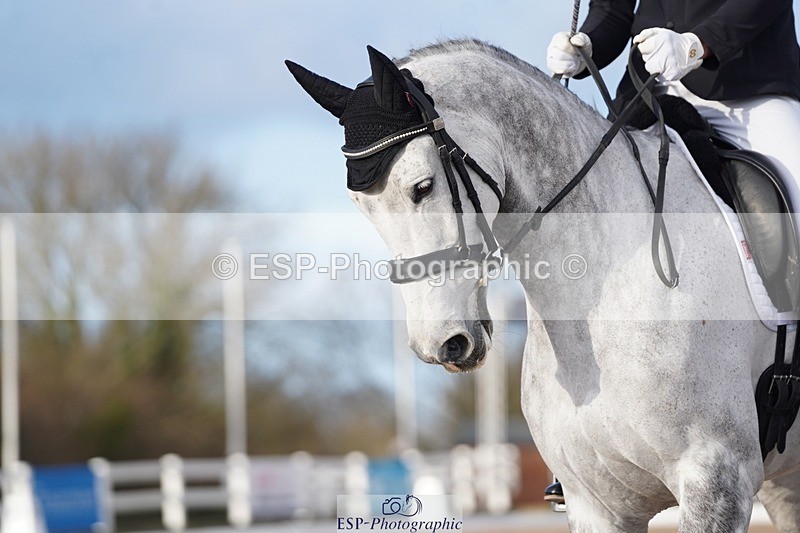 241214-151152-02114 - 154-Joe.Roome-SJL.King