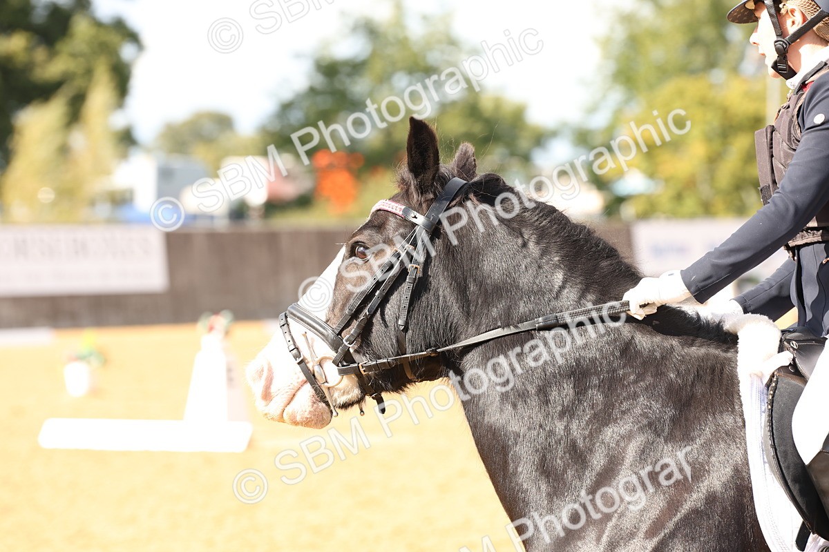 SBM_47489 - D12 - Small Tour Championship prelim 2