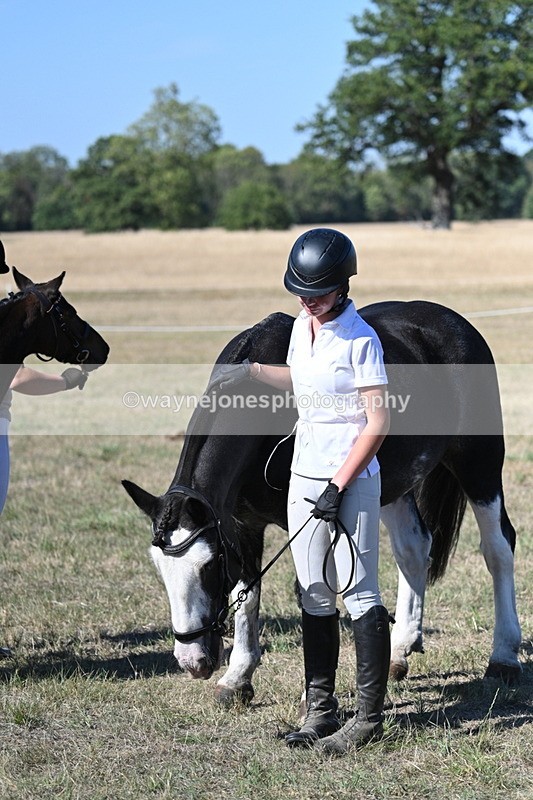WJ7_1911 - Class 43 Best Six Legs (In hand)