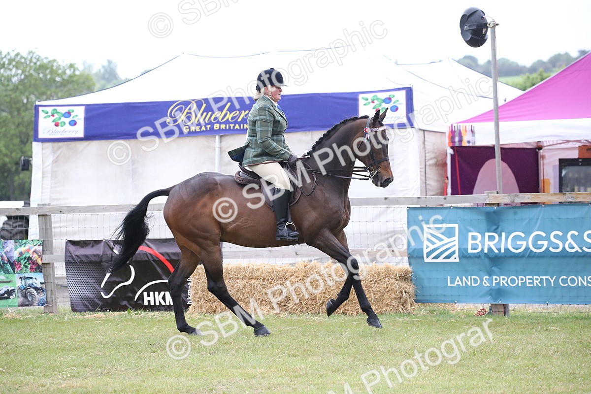 SBM_11435 - Class 94 - LIHS BSHA Racehorse to Showhorse