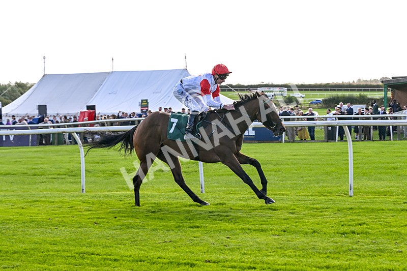 080926-Race 2-Queen Sana-1910 - Race 2 2.28pm Racing TV Club Day Restricted Maiden Stakes
