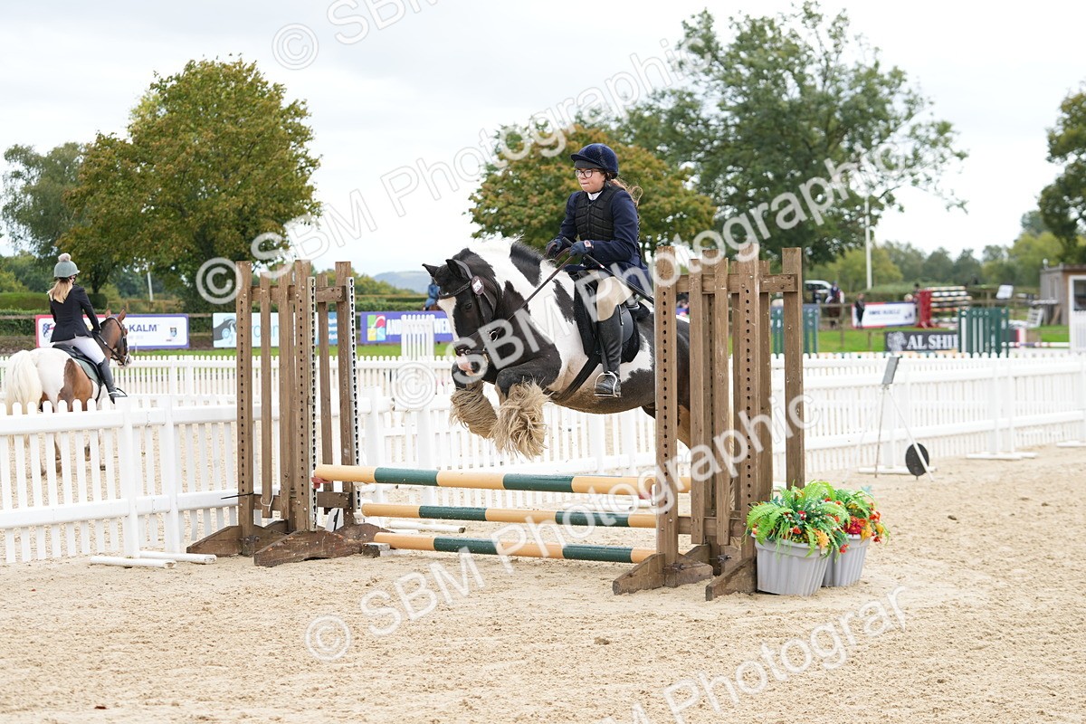 SBM_43485 - J7 - Junior Pony 60cm Championship