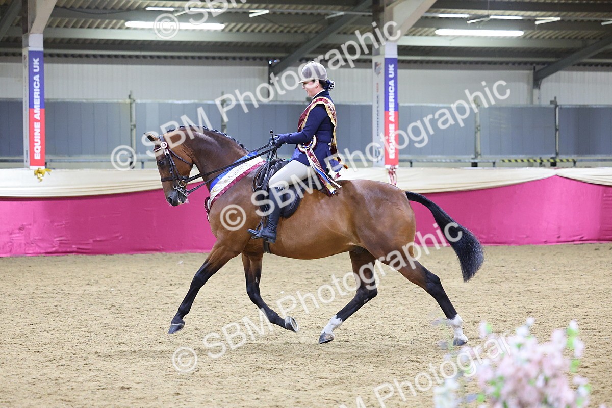 SBM_19198 - Class I Competition/ Riding Club Champ