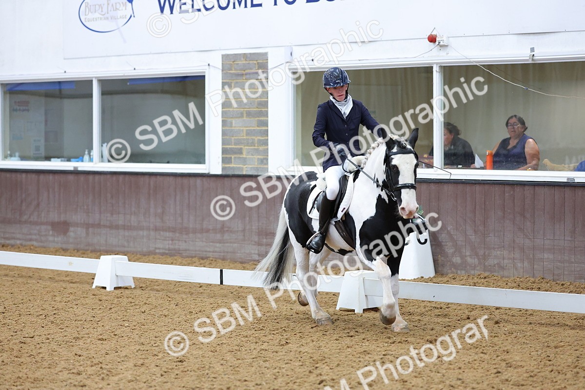 SBM_002619 - Novice