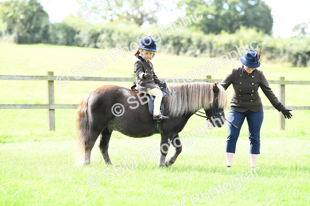 SBM_42512 - S20 - Lead Rein Mountain & Moorland Pony