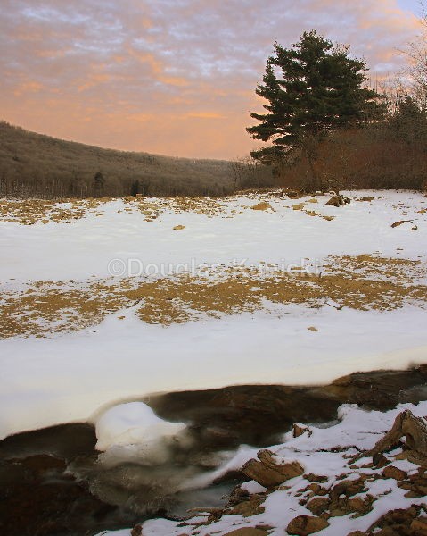  - Fall and Winter