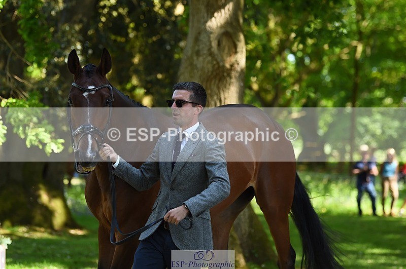 230524-153914-00417 - 371-JERPOINT_ECLIPSE-Max_Gordon-WEDTrotUp+DR