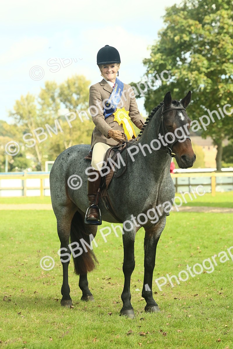 SBM_62699 - S63 - Other Coloured Horse Ridden