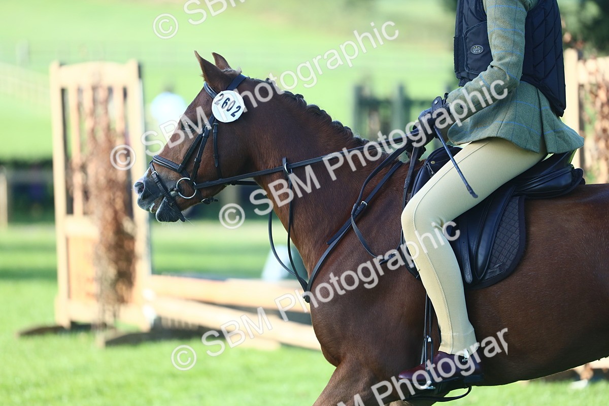 SBM_33388 - S28 - Nursery Stakes Working Hunter Pony